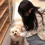 龙门侠客多椒版下载